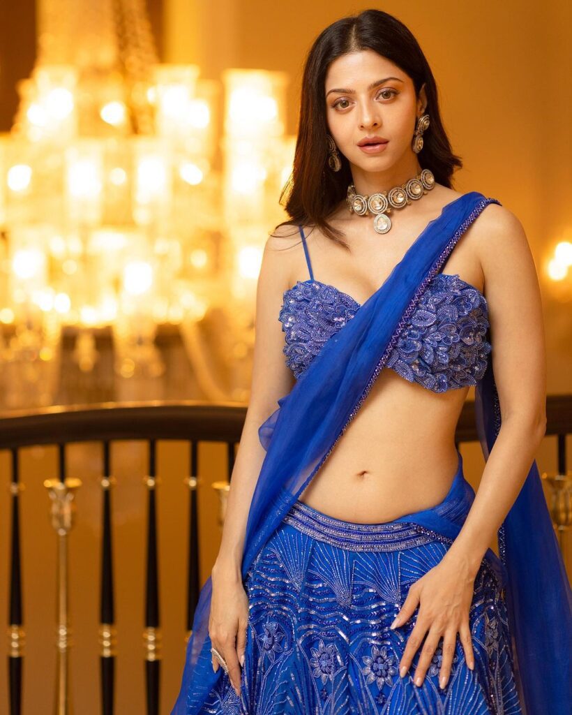 Vedhika Latest Photos